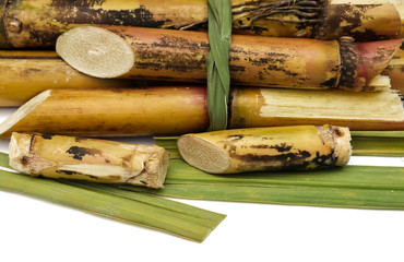 Closeup of Sugarcane Pieces Isolated on White Background Selective Focus