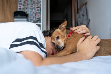 Girl pampering her dog
