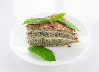 close-up of homemade cake sprinkled with chocolate with mint leaves.