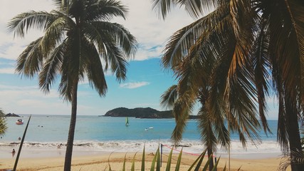 atardecer en playa mexicana, Ixtapa