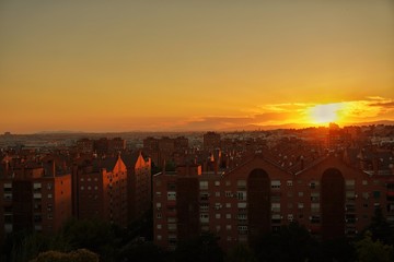 sunset over the city in the park