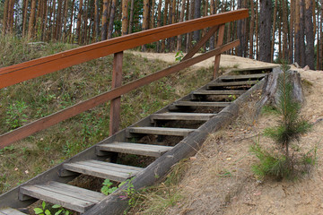 Fototapeta na wymiar wooden staircase with railing in the forest