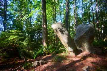Ancient menhir hidden in the woods of Javornik mounth, Czech Republic
