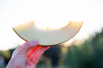 Piece of melon in women hand in front of summer sunlight. Summer fruit in hand, sunbeam. Growing...