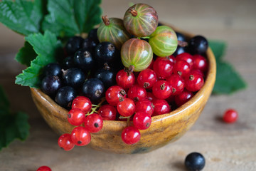 Red and black currant, gooseberry in ceramic bowl on a wooden background