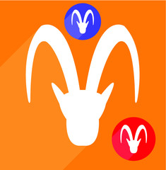 Obraz premium Goat head, face