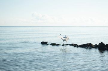 Fototapeta premium tourism, beach, vacation, Guatemala, Livinstong, horizon, nature, blue, turquoise
