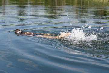 a young girl swims in the lake