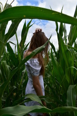 young woman in a corn field
