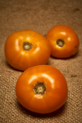 Yellow tomatoes on fabric background.