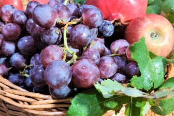  Fresh organic fruits in the garden.
