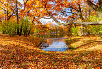 Obraz na płótnie Canvas Autumn foliage in Alexander park, Tsarskoe Selo (Pushkin), Saint Petersburg, Russia