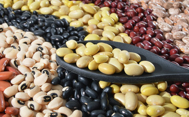 The ranks of different beans: kidney, roman, black eye,edamame, adzuki View from above.
