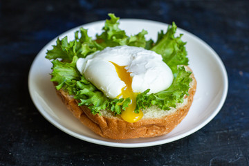 poached egg sandwich delicious snack ingredient portion serving size organic eating healthy top view place for text copy space