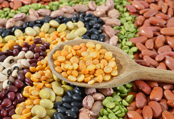 The ranks of different beans: kidney, mung, adzuki,  pile cranberry, yellow sptit peas, black eye, preto. View from above.