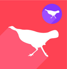 Turkey silhouette