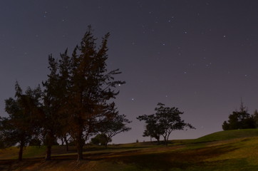 Fototapeta na wymiar night landscape with trees
