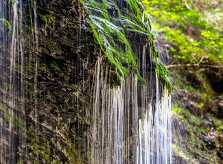 Obraz premium small waterfall in the forest
