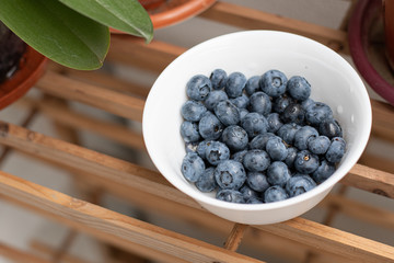 Ripe blueberry in a white ceramic bowl on wooden stand close up