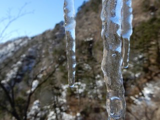 透明な氷柱