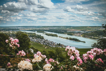 Blick über Rüdesheim