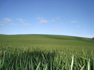 Paisagem -  Rio Grande SUl - Brasil
