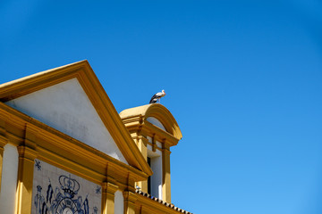 Fototapeta na wymiar Stork sits atop a building at the Royal Andalusian School of Equestrian Arts