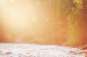 Nature summer blurred bokeh background for design with forest and river water in sunlight .