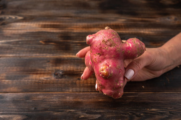 Womans hand holds trendy ugly organic potato from home garden on on a wooden background, unnormal...