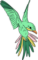 Isolated bright color bird. Bird of paradise illustration on white background