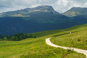 Landscape of Dolomites in Venegia valley at summer