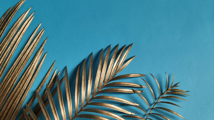 Top view,  Golden palm leaves on classic dark blue background.  Copy Space
