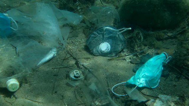 Dead Greater weever fish (Trachinus draco) hitting trapped in plastic bag lies inside plastic bag on the seabed among the medical face mask, plastic and other garbage. Plastic pollution of Ocean.  