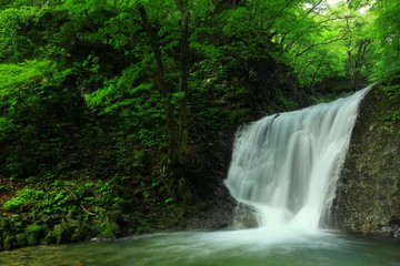 岩手県矢巾町　夏の幣掛の滝