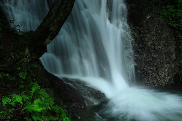 岩手県矢巾町　夏の幣掛の滝