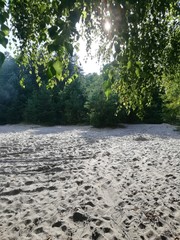 river in the forest
