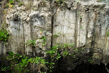 Background from the walls of white clay or earth     