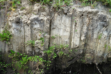 Background from the walls of white clay or earth     