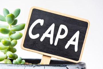 small black chalk board in a pot with succulents inscribed in white letters word CAPA Corrective...