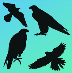 Falcon silhouette