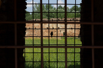 Silhouette of a bird on a rusty lattice of the old ruins of a ruined ancient castle in summer.