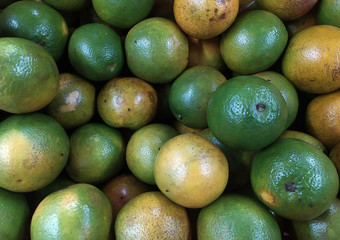 Orange being sold fresh in the market