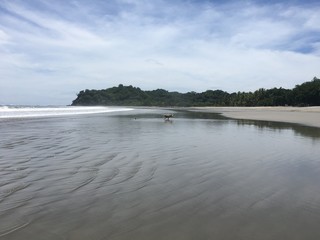 Samara beach. Costa Rica.