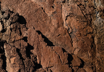 photo of seaside stone texture
