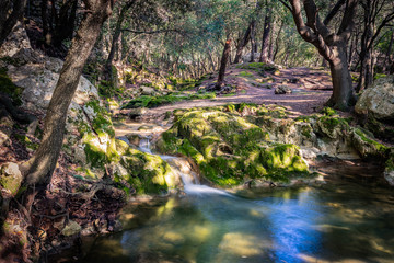 Wandern auf Mallorca in den Salt es Freu