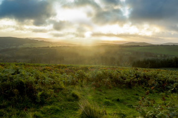 sunrise over the field