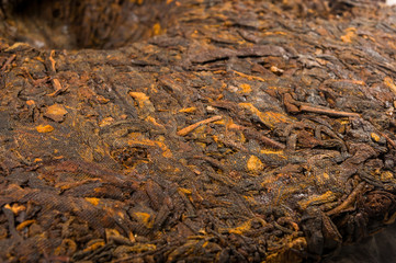 Chinese pressed PU-erh tea on wrapping paper, close-up, macro