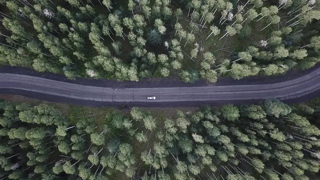 Silver car drives down forest road in the mountains