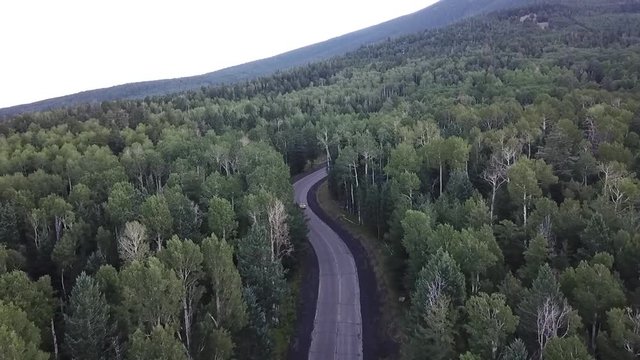 Aerial video of silver car on a mountain road through a forest