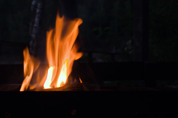 tongues of flaming fire in blurred background of darkness